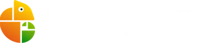 Holger Dümpelmann Consulting